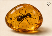 Ant Preserved in Baltic Amber